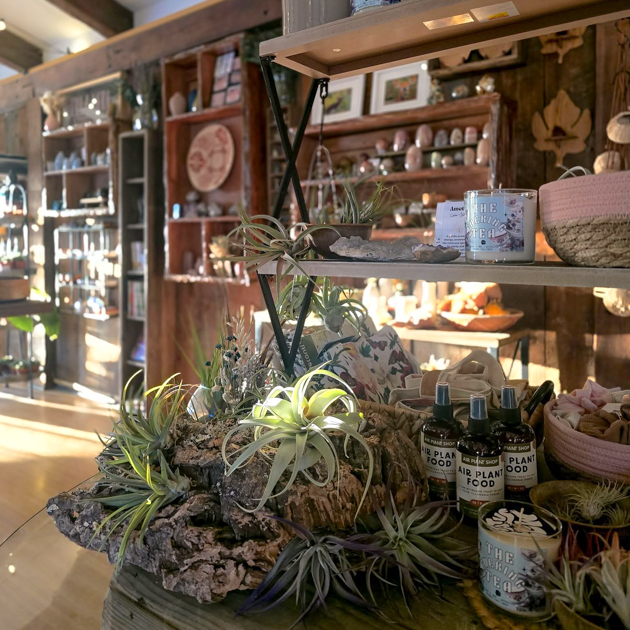 The Willow Shop interior